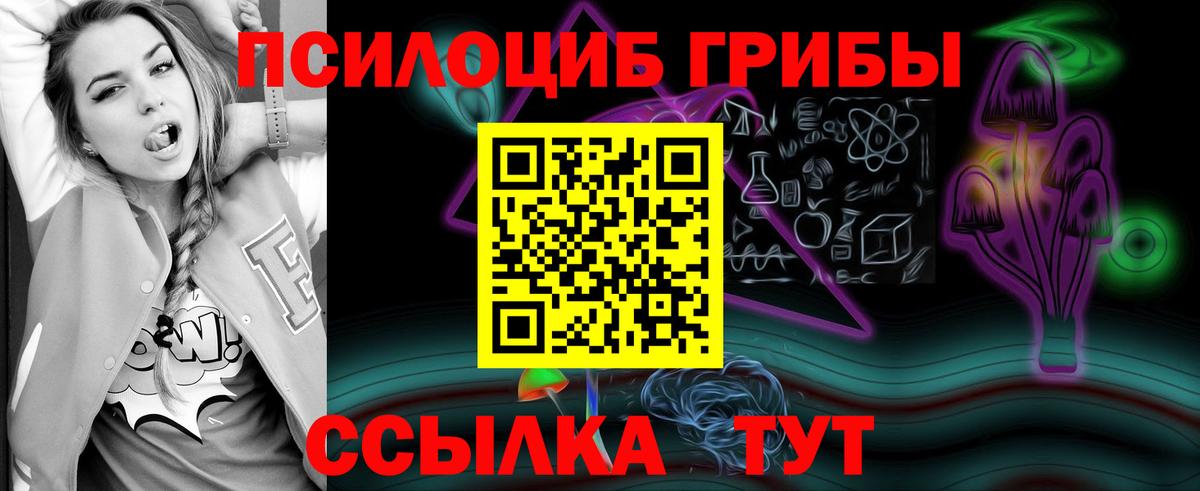 Псилоцибиновые грибы MAGIC MUSHROOMS  Вход с VPN  Мичуринск  Галлюциногенные грибы GOLDEN TEACHER 